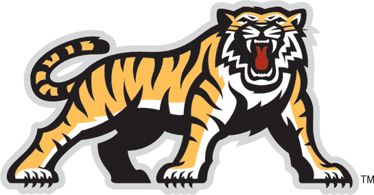 hamilton tiger-cats 2005-2009 secondary logo iron on transfers for clothing